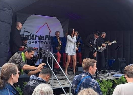 Soul Society; https://www.donaendegados.nl